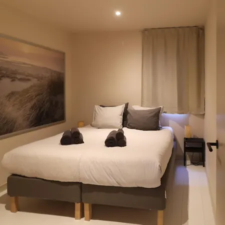 Zilt Aan Zee * 에크몬드안지