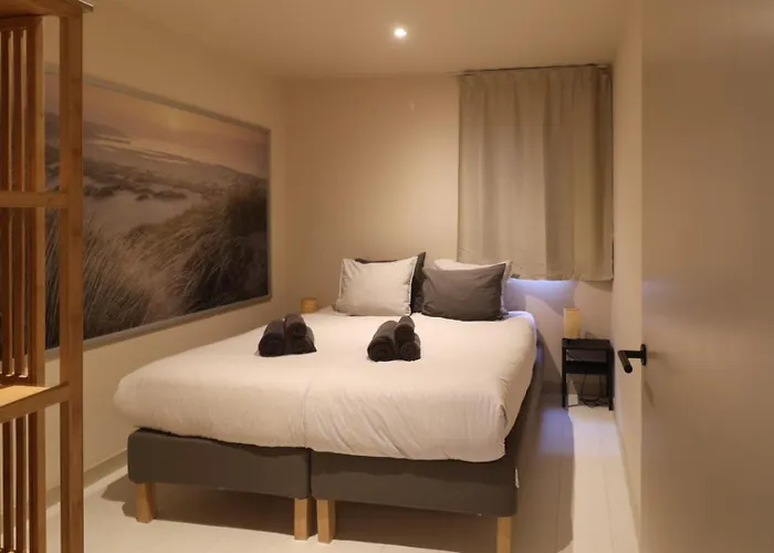 Zilt Aan Zee * 에크몬드안지