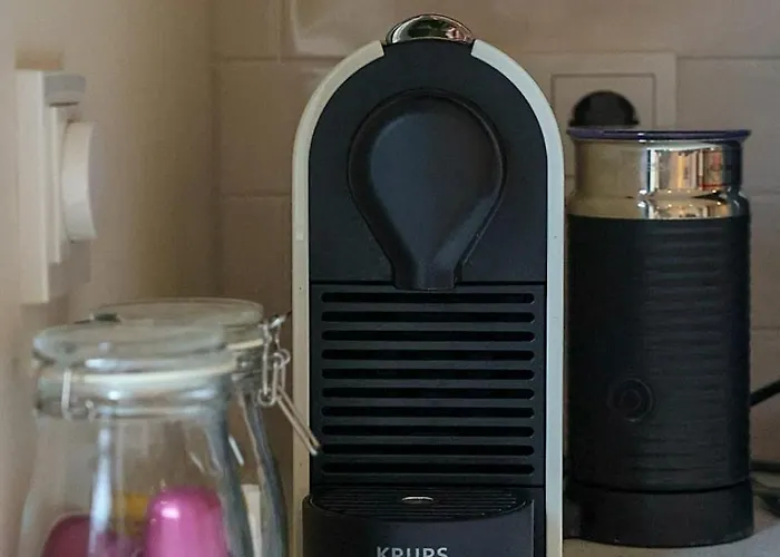 펜션 Zilt Aan Zee 에크몬드안지